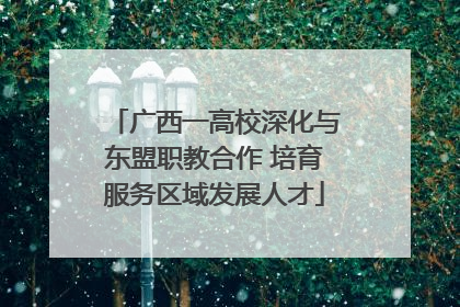 广西一高校深化与东盟职教合作 培育服务区域发展人才