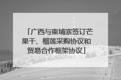 广西与柬埔寨签订芒果干、榴莲采购协议和贸易合作框架协议