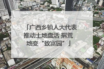 广西乡镇人大代表推动土地盘活 撂荒地变“致富园”