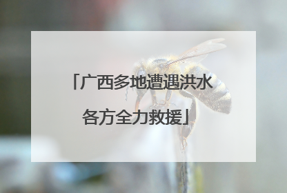 广西多地遭遇洪水 各方全力救援
