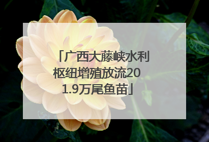 广西大藤峡水利枢纽增殖放流201.9万尾鱼苗
