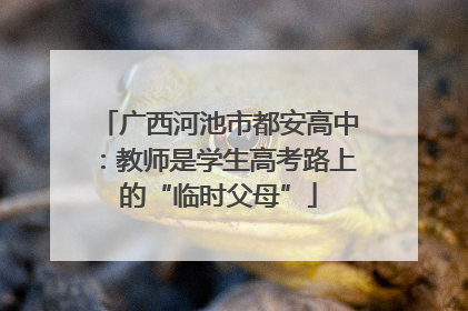 广西河池市都安高中：教师是学生高考路上的“临时父母”