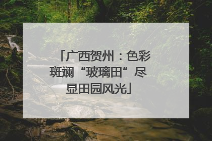 广西贺州：色彩斑斓“玻璃田”尽显田园风光