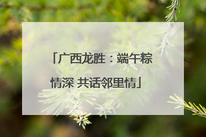 广西龙胜：端午粽情深 共话邻里情