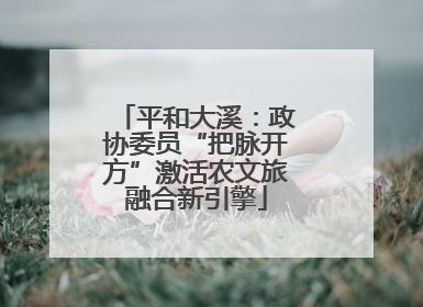 平和大溪：政协委员“把脉开方”激活农文旅融合新引擎