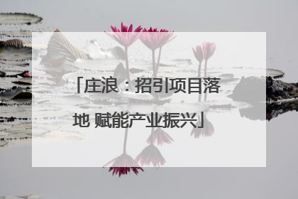 庄浪：招引项目落地 赋能产业振兴