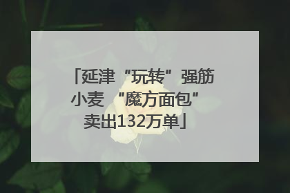 延津“玩转”强筋小麦 “魔方面包”卖出132万单