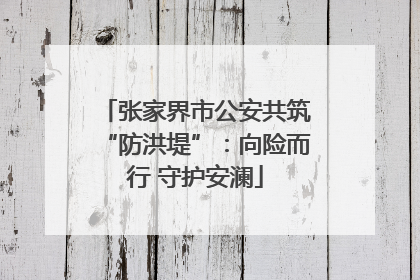 张家界市公安共筑“防洪堤”：向险而行 守护安澜