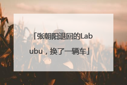 张朝阳退回的Labubu，换了一辆车