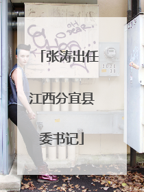 张涛出任江西分宜县委书记
