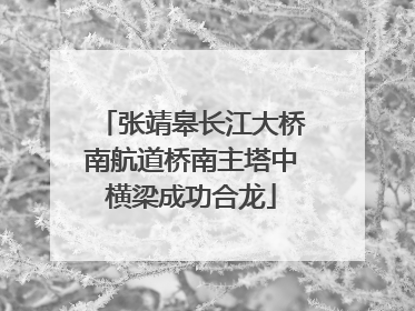 张靖皋长江大桥南航道桥南主塔中横梁成功合龙