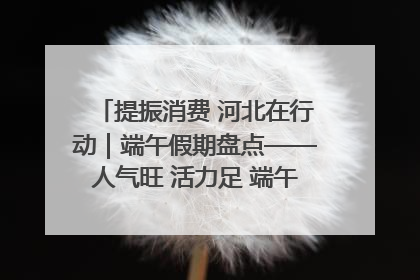 提振消费 河北在行动｜端午假期盘点——人气旺 活力足 端午经济“热浪”迭起
