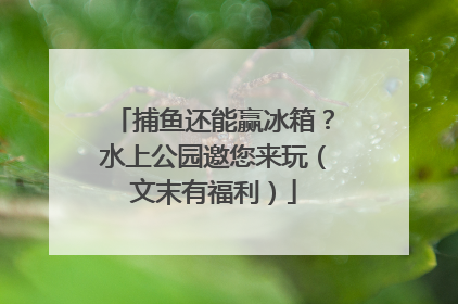 捕鱼还能赢冰箱？水上公园邀您来玩（文末有福利）