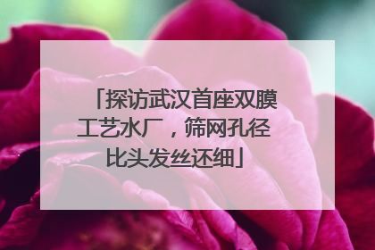 探访武汉首座双膜工艺水厂，筛网孔径比头发丝还细