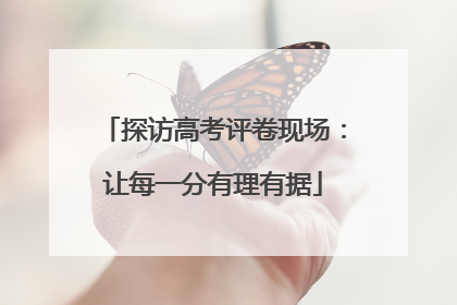 探访高考评卷现场：让每一分有理有据