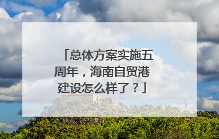 总体方案实施五周年，海南自贸港建设怎么样了？