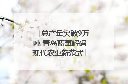 总产量突破9万吨 青岛蓝莓解码现代农业新范式