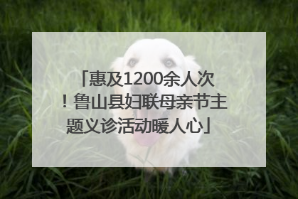 惠及1200余人次！鲁山县妇联母亲节主题义诊活动暖人心