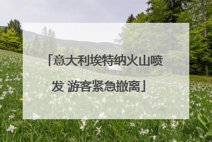 意大利埃特纳火山喷发 游客紧急撤离