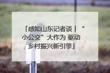 感知山东记者谈丨“小公交”大作为 驱动乡村振兴新引擎