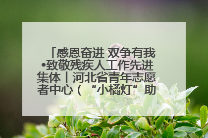 感恩奋进 双争有我•致敬残疾人工作先进集体丨河北省青年志愿者中心（“小橘灯”助残接力计划实施团队）：用温暖陪伴，守护特殊孩子成长