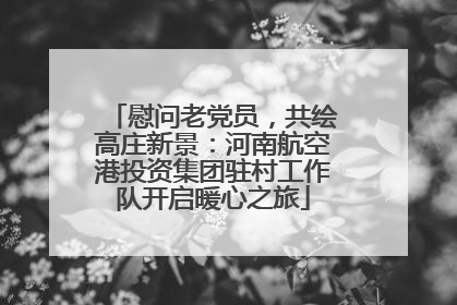 慰问老党员，共绘高庄新景：河南航空港投资集团驻村工作队开启暖心之旅