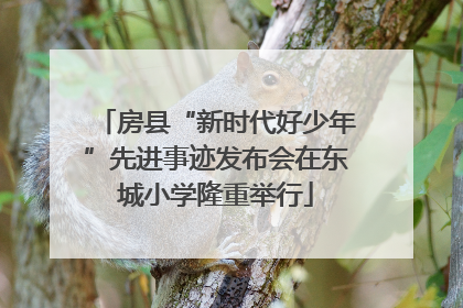 房县“新时代好少年”先进事迹发布会在东城小学隆重举行