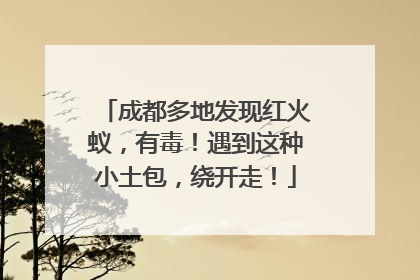 成都多地发现红火蚁，有毒！遇到这种小土包，绕开走！