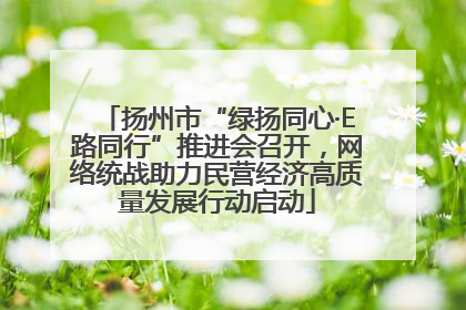 扬州市“绿扬同心·E路同行”推进会召开，网络统战助力民营经济高质量发展行动启动