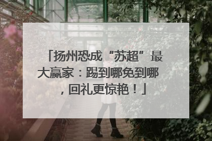 扬州恐成“苏超”最大赢家：踢到哪免到哪，回礼更惊艳！