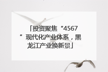 投资聚焦“4567”现代化产业体系，黑龙江产业换新景