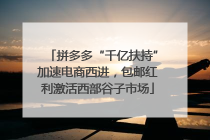 拼多多“千亿扶持”加速电商西进，包邮红利激活西部谷子市场