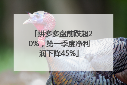 拼多多盘前跌超20%，第一季度净利润下降45%