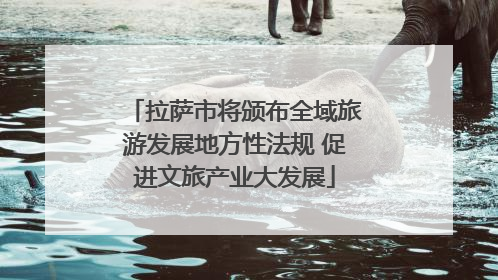 拉萨市将颁布全域旅游发展地方性法规 促进文旅产业大发展