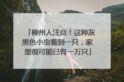 柳州人注意！这种灰黑色小虫看到一只，家里很可能已有一万只