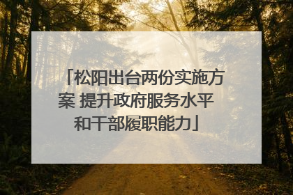 松阳出台两份实施方案 提升政府服务水平和干部履职能力