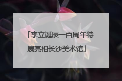 李立诞辰一百周年特展亮相长沙美术馆