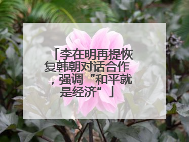 李在明再提恢复韩朝对话合作，强调“和平就是经济”