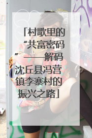 村歌里的“共富密码”——解码沈丘县冯营镇李寨村的振兴之路