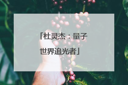 杜灵杰：量子世界追光者