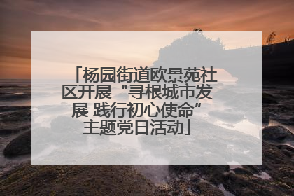 杨园街道欧景苑社区开展“寻根城市发展 践行初心使命”主题党日活动