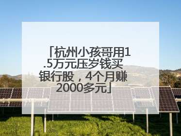 杭州小孩哥用1.5万元压岁钱买银行股，4个月赚2000多元