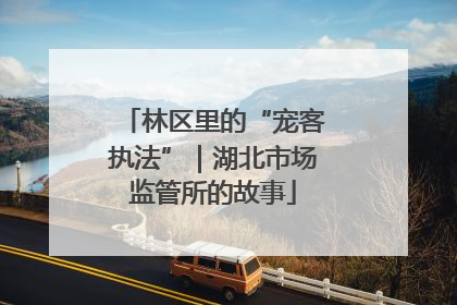 林区里的“宠客执法”｜湖北市场监管所的故事