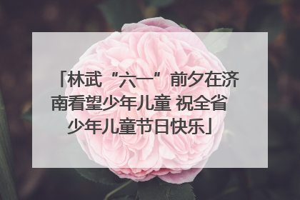 林武“六一”前夕在济南看望少年儿童 祝全省少年儿童节日快乐