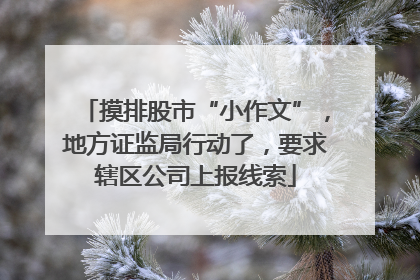 摸排股市“小作文”，地方证监局行动了，要求辖区公司上报线索