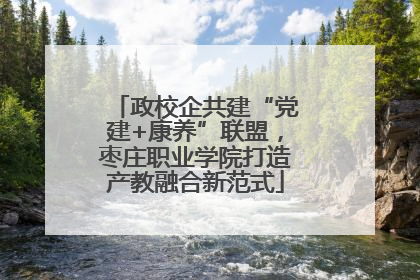 政校企共建“党建+康养”联盟，枣庄职业学院打造产教融合新范式