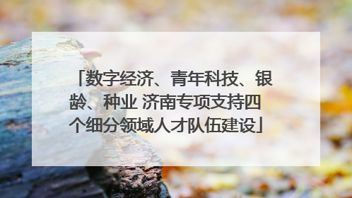 数字经济、青年科技、银龄、种业 济南专项支持四个细分领域人才队伍建设
