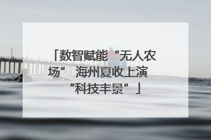 数智赋能“无人农场” 海州夏收上演“科技丰景”