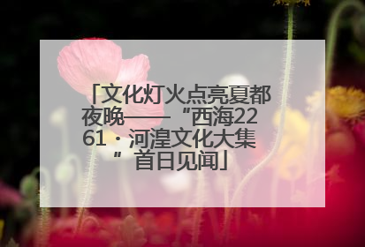 文化灯火点亮夏都夜晚——“西海2261・河湟文化大集”首日见闻