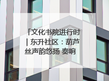 文化书院进行时｜东升社区：葫芦丝声韵悠扬 奏响文化和谐曲